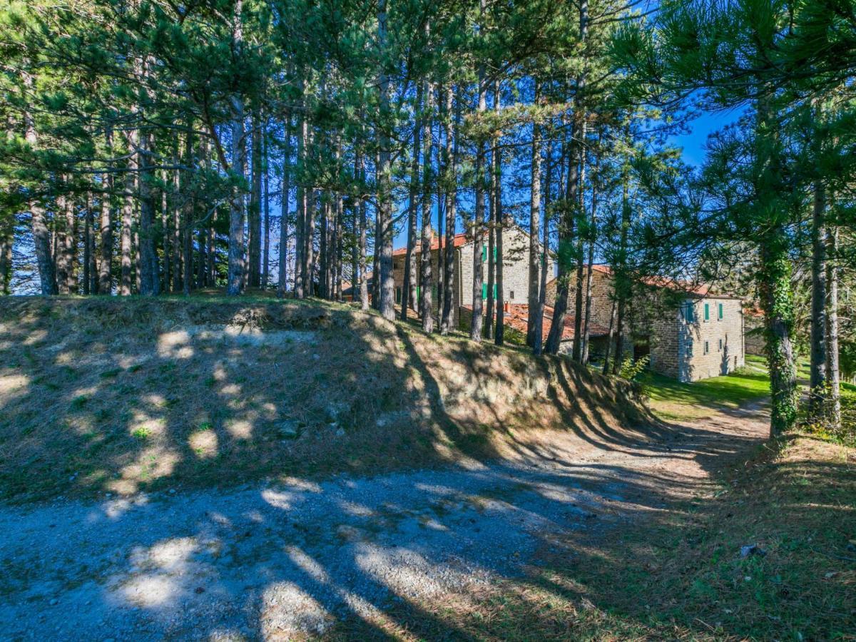 Holiday Home Al Volo Del Nibbio By Interhome Marradi Kültér fotó